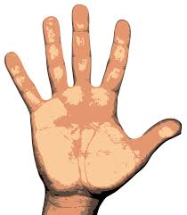 Caída queda: El infinito en la palma de la mano